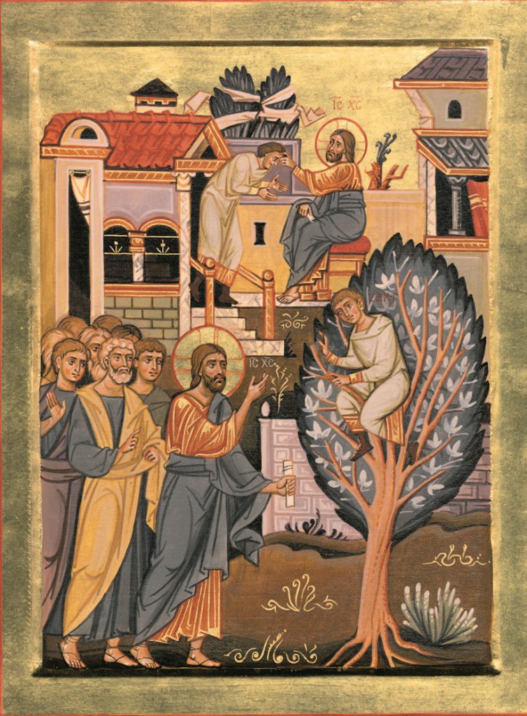 sicomoro-zaccheo-e-gesu